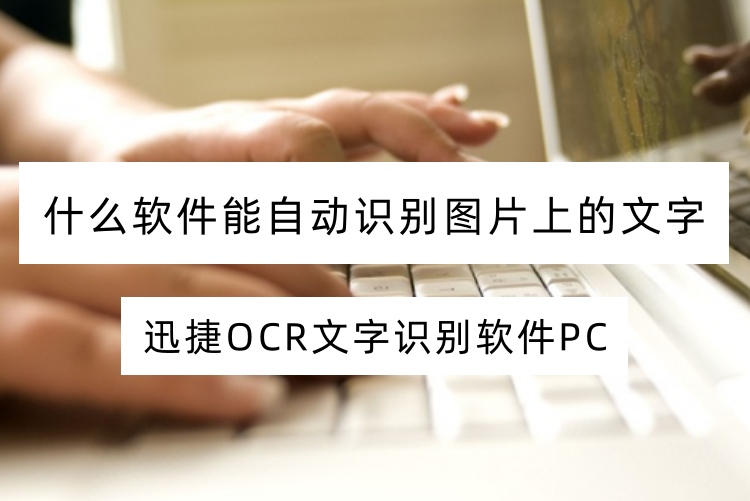 什么软件能自动识别图片上的文字