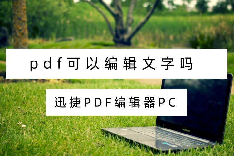 pdf可以编辑文字吗？详细步骤看这三个软件