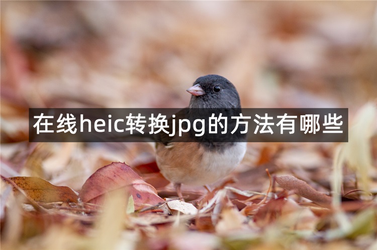 在线heic转换jpg首图